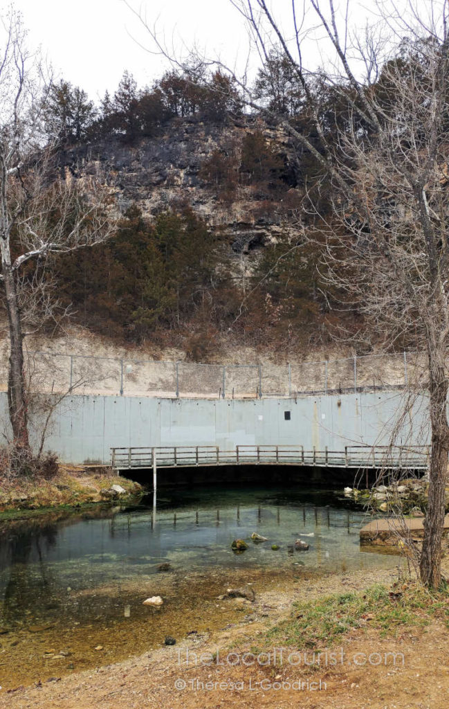 Roubidoux Spring in Laughlin Park