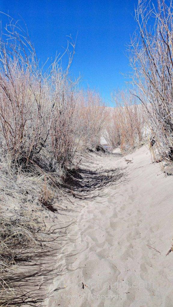 Great Sand Dunes National Park