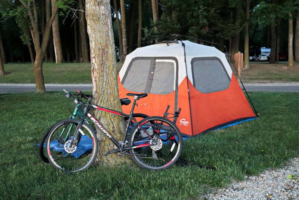 Bikes locked to a tree at a campsite