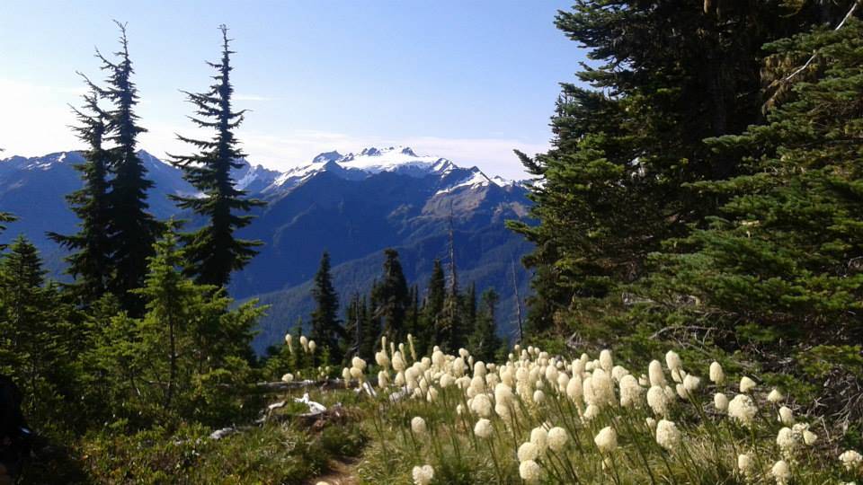 Olympic National Park, photo by LeAnna Brown, Well Traveled Nebraskan