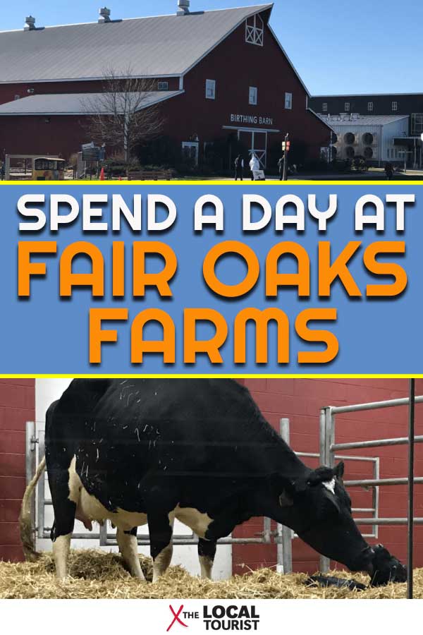 See what it's like to spend a day at Fair Oaks Farms, an agritourism destination in Indiana. Located off I-65, it's easy to find this fun and educational place. | Visit Indiana | Things to do in Indiana | Midwest Travel