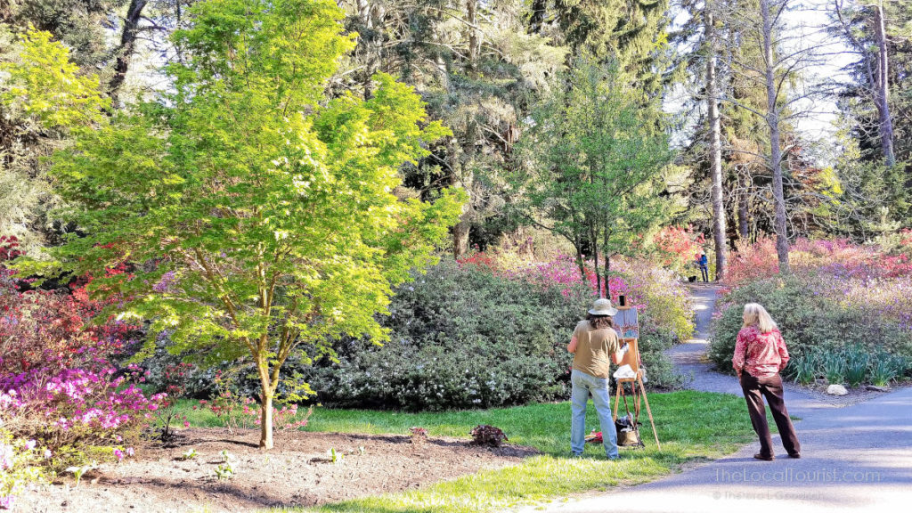 Plein aire painting at Biltmore Gardens in Asheville, North Carolina