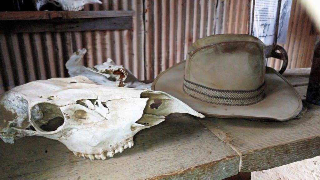 Cattle skull and hat at Castle Dome Mine Museum