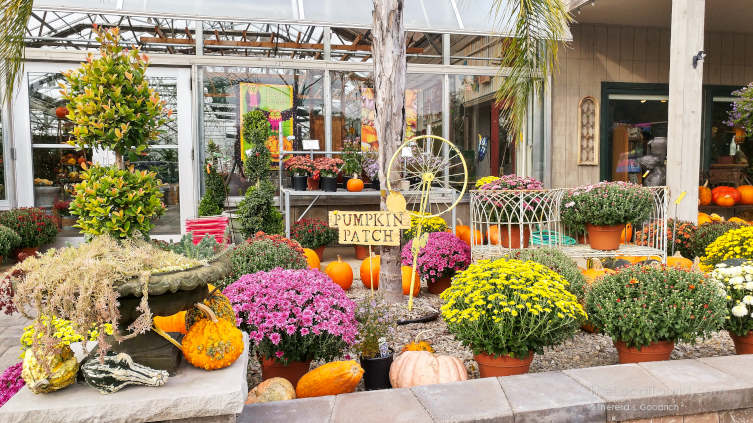 Otto's Oasis in Charles City
