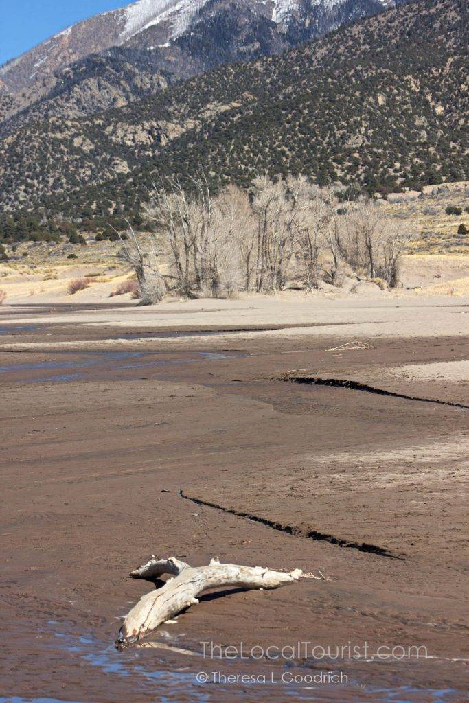 Great Sand Dunes National Park