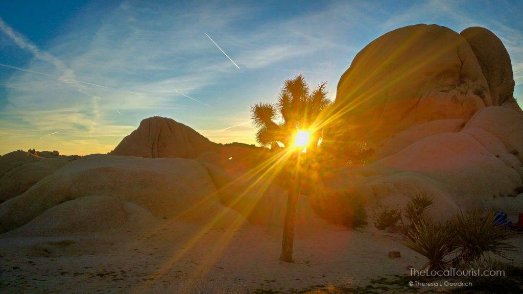 Sunrise in Jumbo Rocks campground