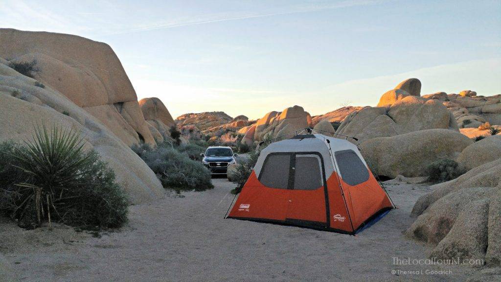 Best campground ever at Joshua Tree National Park