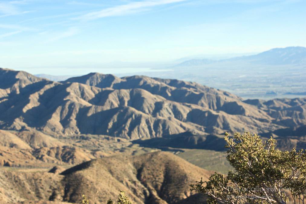 Joshua Tree National Park - Salton Sea in the distance