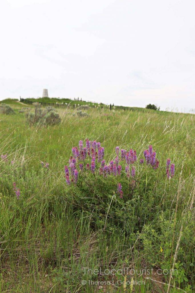 Little Bighorn Battlefield Monument