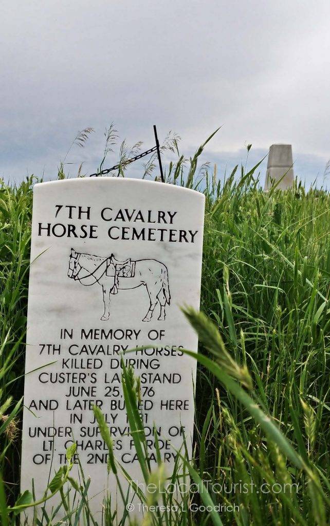 Grave markers for the horses at Little Bighorn