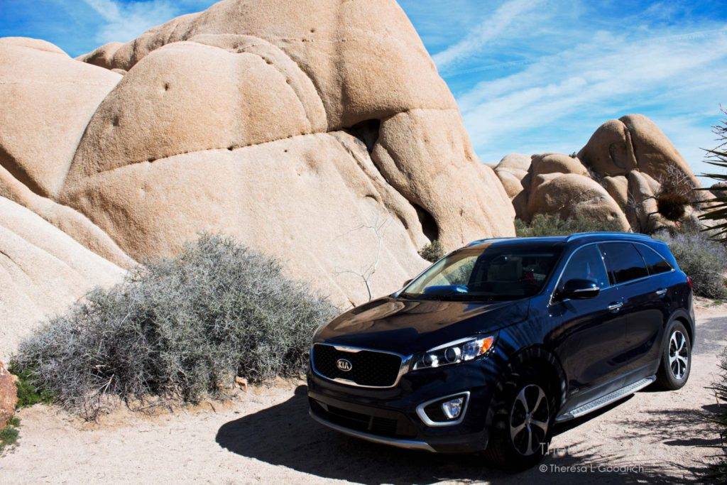 Mae Sorento at Joshua Tree