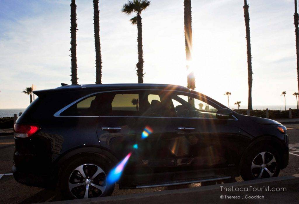 Mae Sorento relaxes by some palm trees at the Oceanside beach