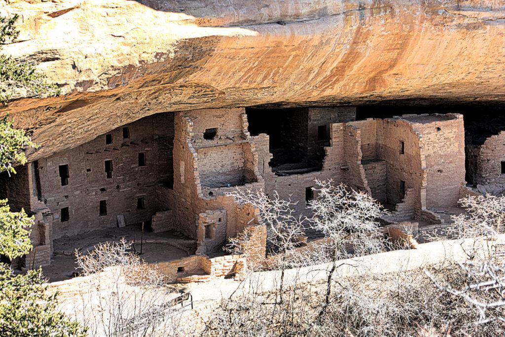 Mesa Verde Spruce Tree House