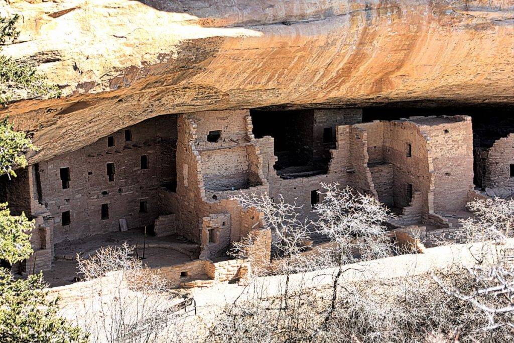 Mesa Verde Spruce Tree House