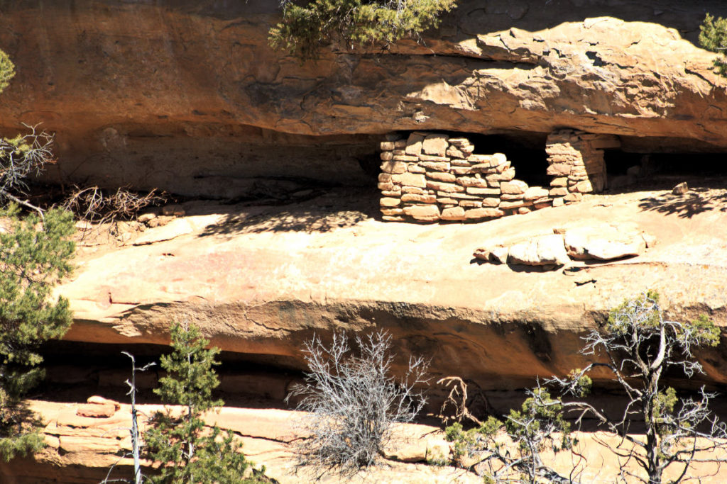 Cliff dwelling at Mesa Verde