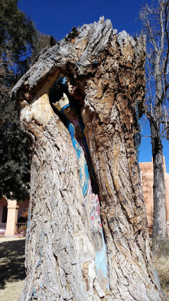 Sculpture inside a tree at San Felipe de Neri in Old Town Albuquerque