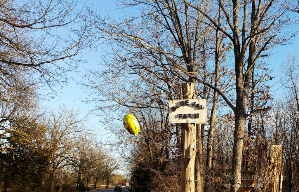 Sponge Bob balloon marks the turn for Blue Jay Farm