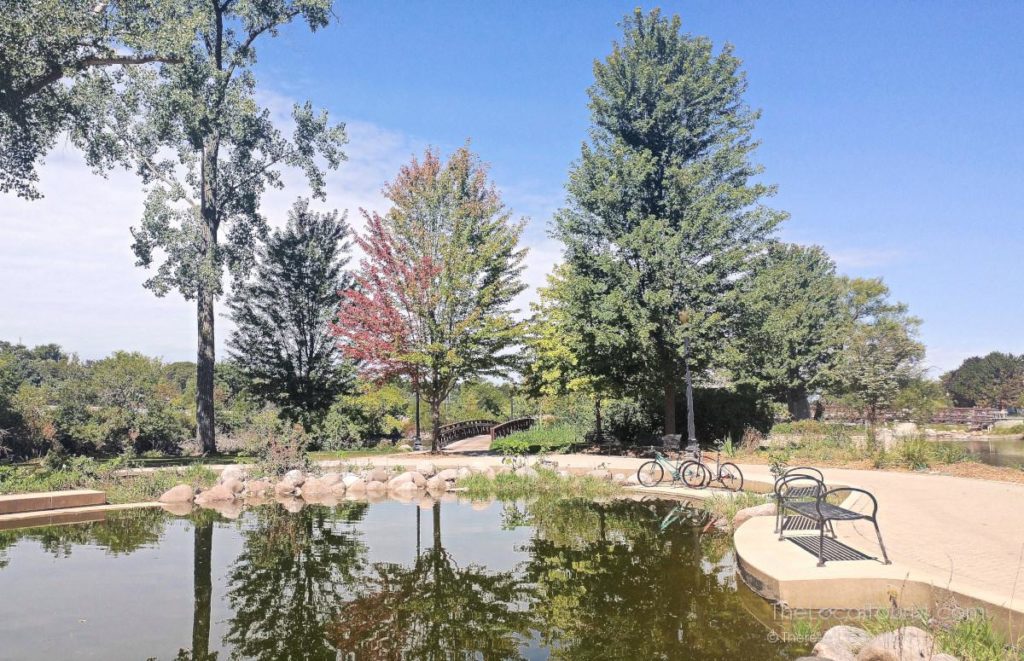 Pond within Walton Island