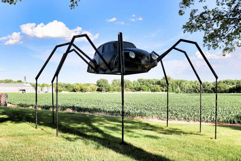 Avoca Volkswagen Beetle Spider