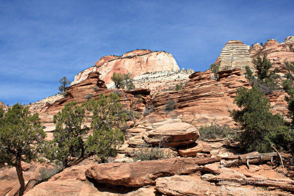 Zion National Park