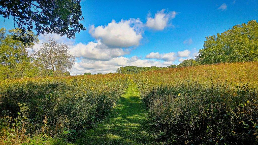 Casper Bluff Land & Water Reserve