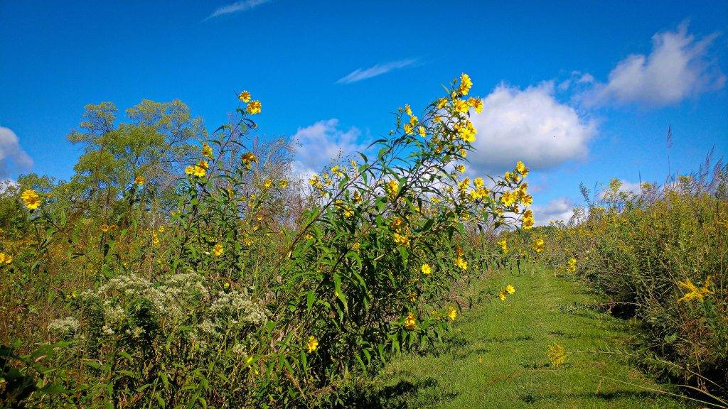 Casper Bluff Land & Water Reserve