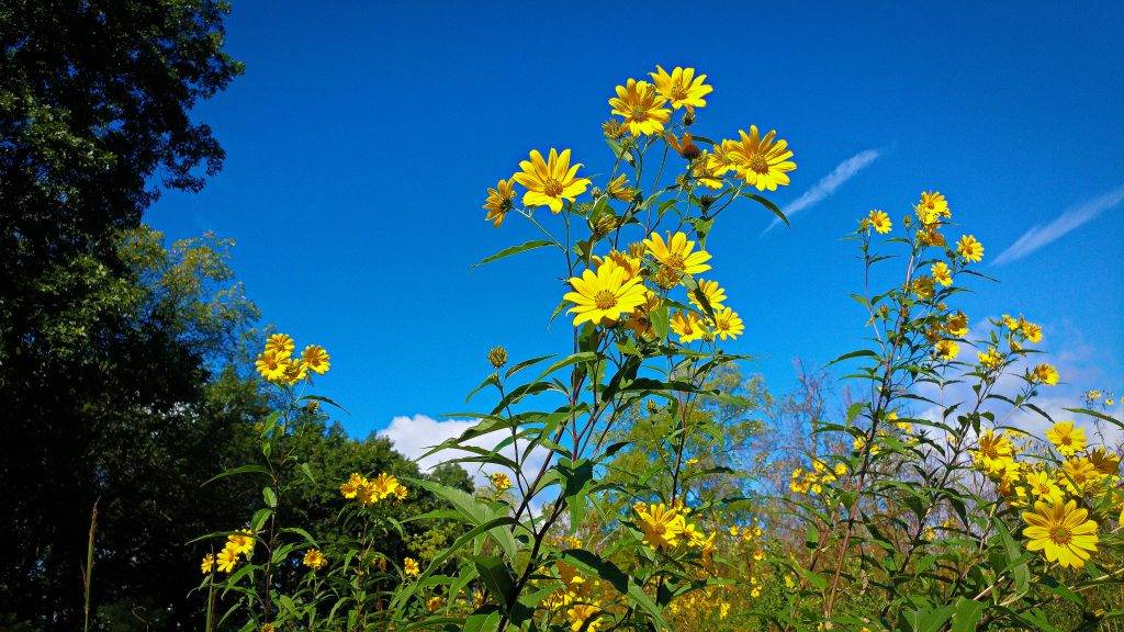 Casper Bluff Land & Water Reserve