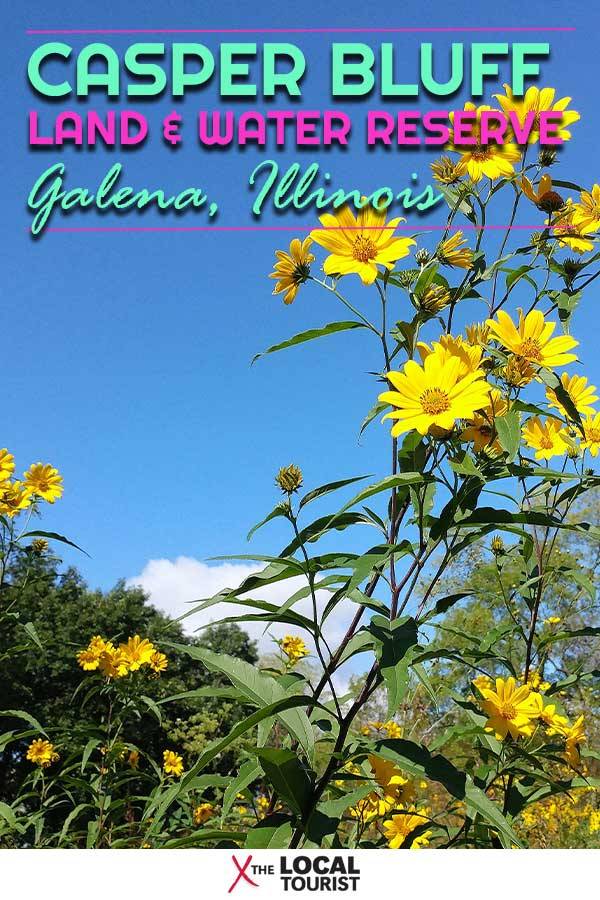 Not far from the charming town of Galena, in the northwest corner of Illinois, Casper Bluff Land & Water Reserve is a preserve of prairie and forest overlooking the Mississippi River.