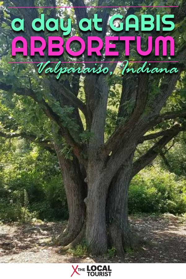 Gabis Arboretum is a welcome respite from busy city life, just minutes from the interstate in northwest Indiana.