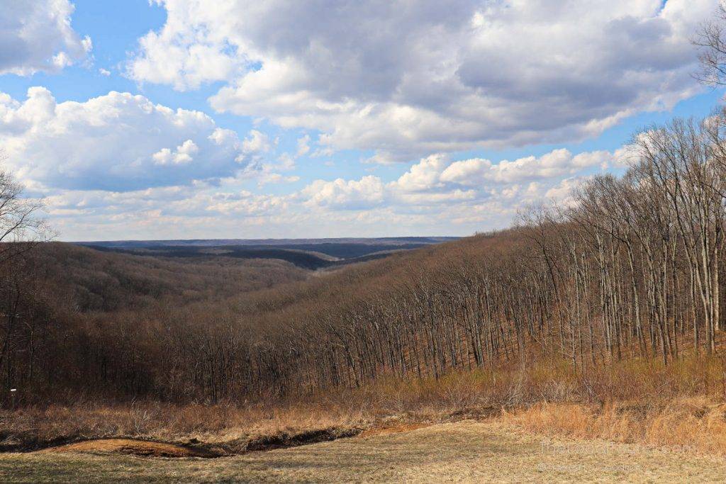 The wooded hills of Brown County
