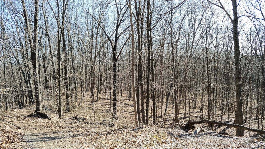 Brown County State Park