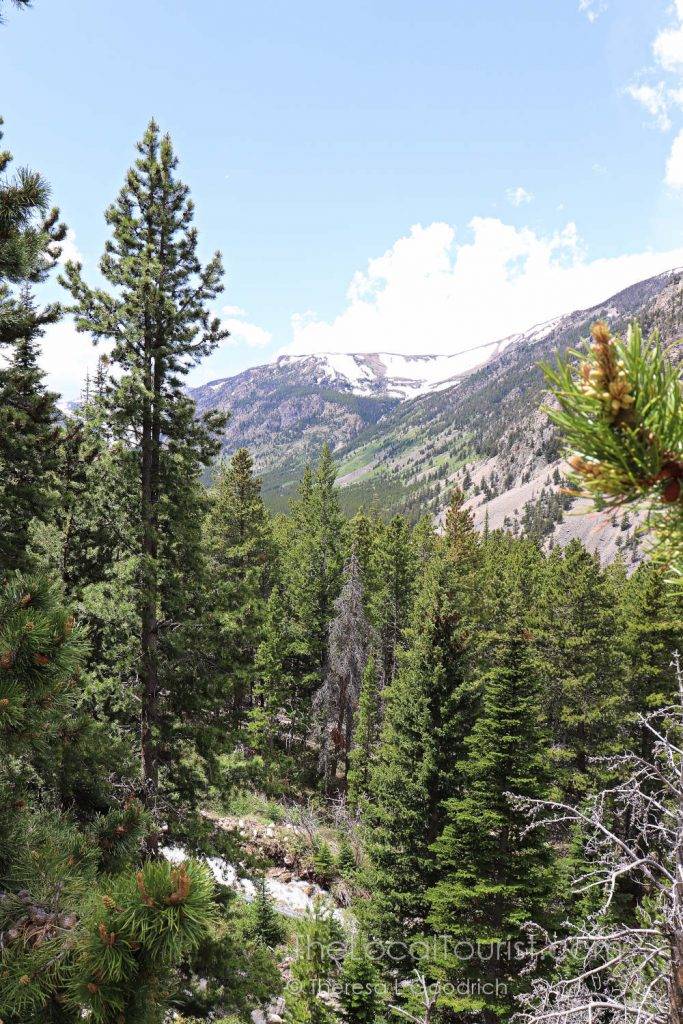 Beartooth Highway