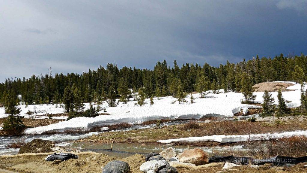 Beartooth Highway