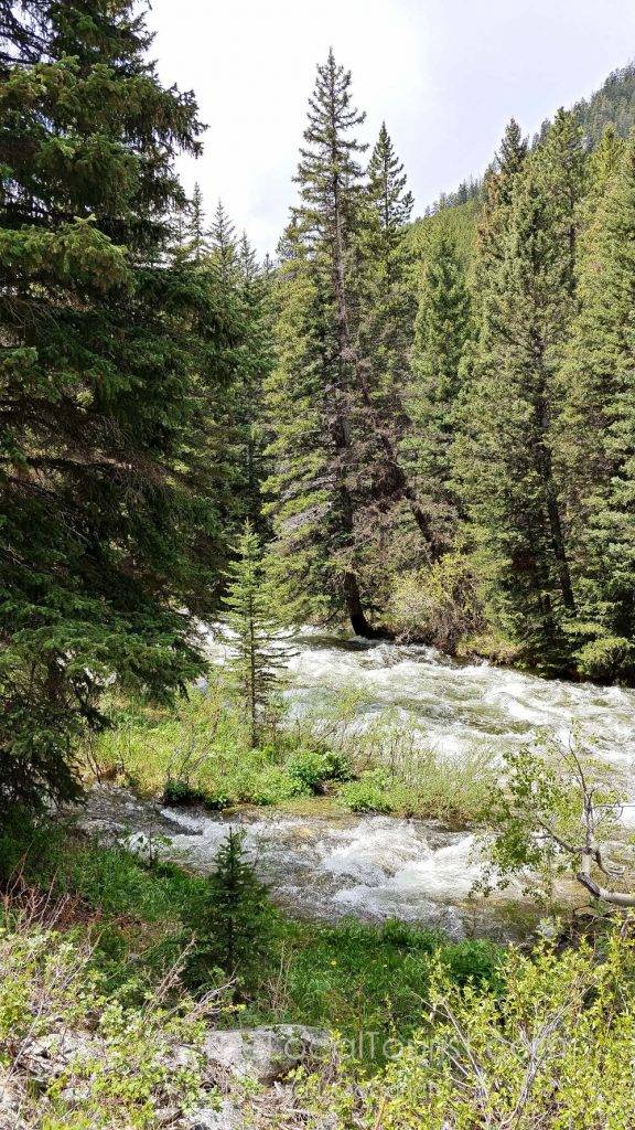A rushing stream next to US 212 in Montana