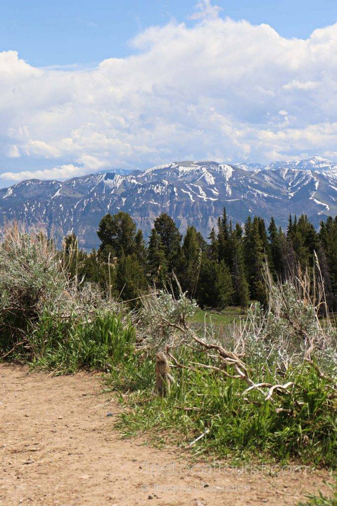 Overlooking the Absaroka Range from Beartooth Highway