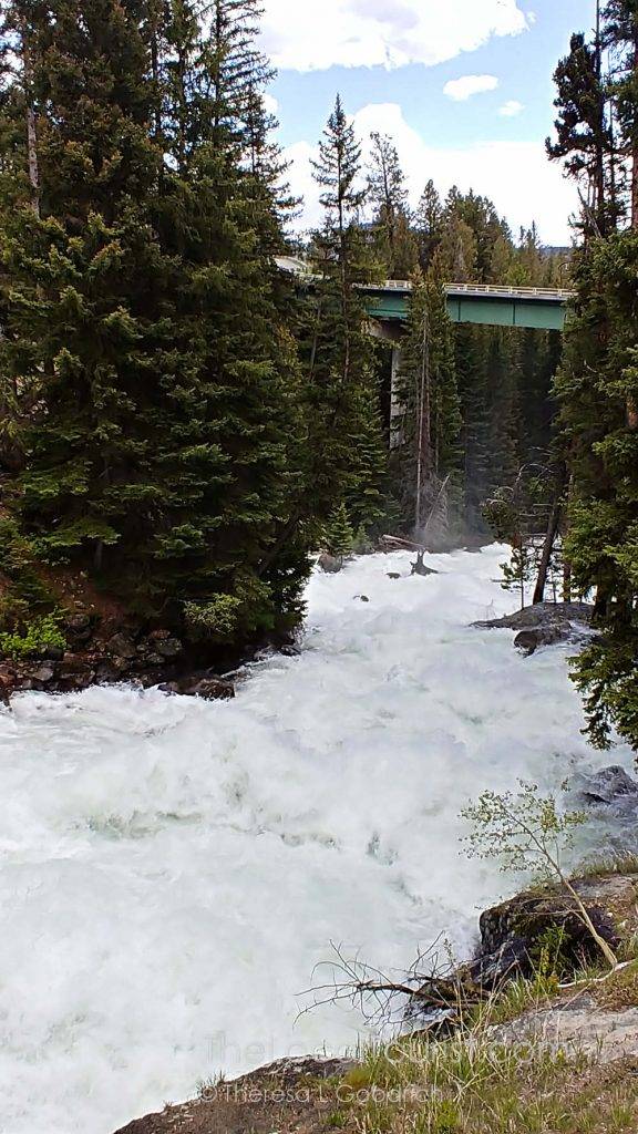 Lake Creek rushing under Beartooth Highway