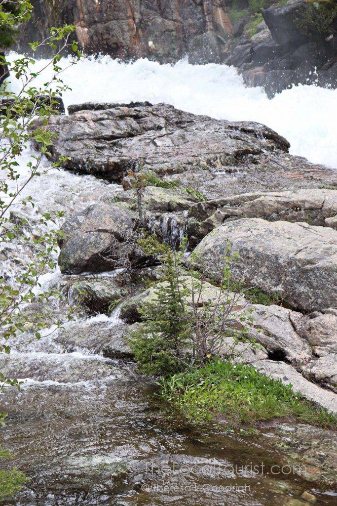 Lake Creek rushing under Beartooth Highway