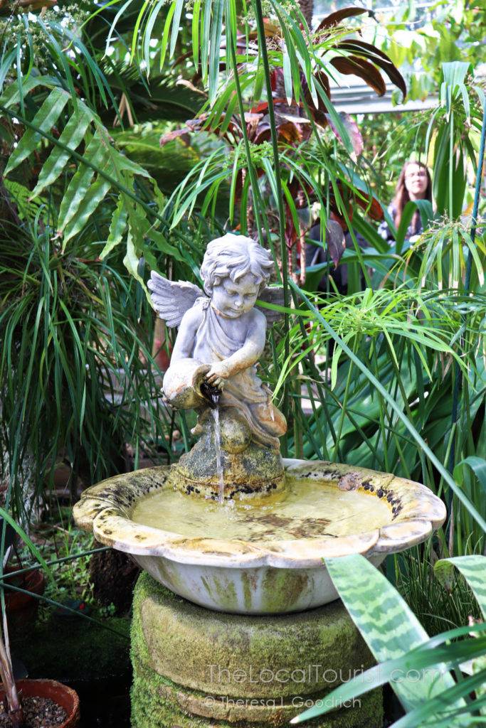 Inside Jordan Hall Greenhouse