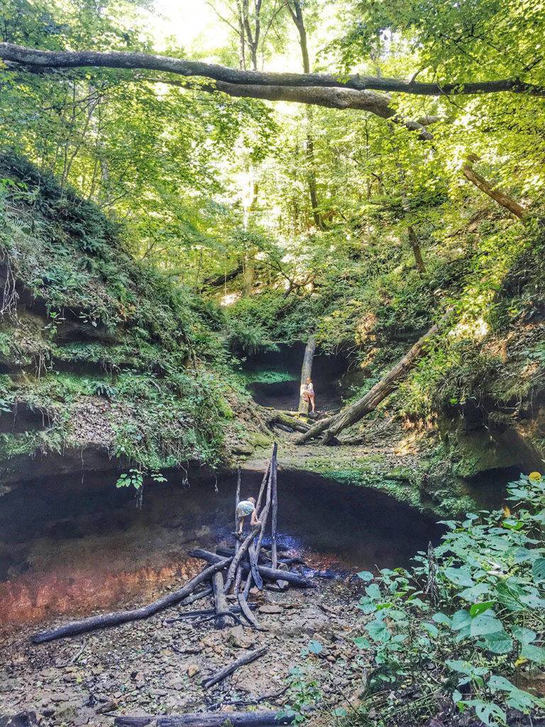 Wildcat Den State Park in Muscatine, Iowa; photo by Michelle Marine