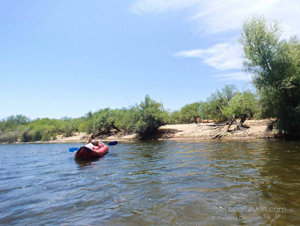 Jillian waits while we watch wild horses on the banks of the Salt River