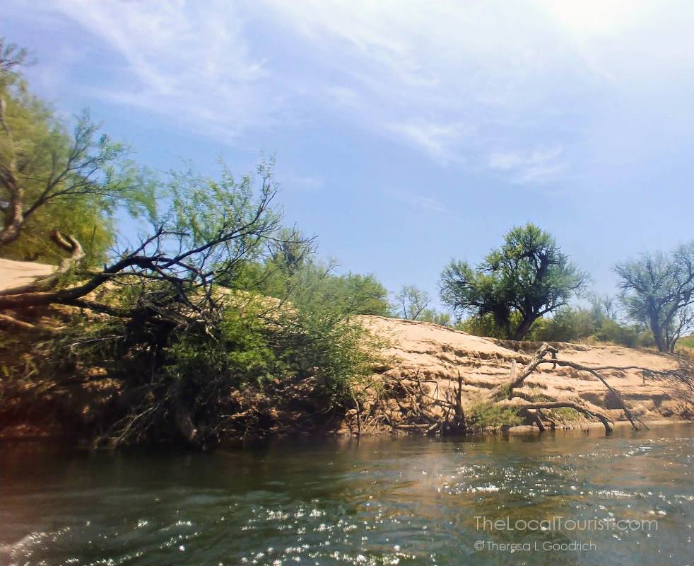 Banks of the Lower Salt River in Tonto National Forest