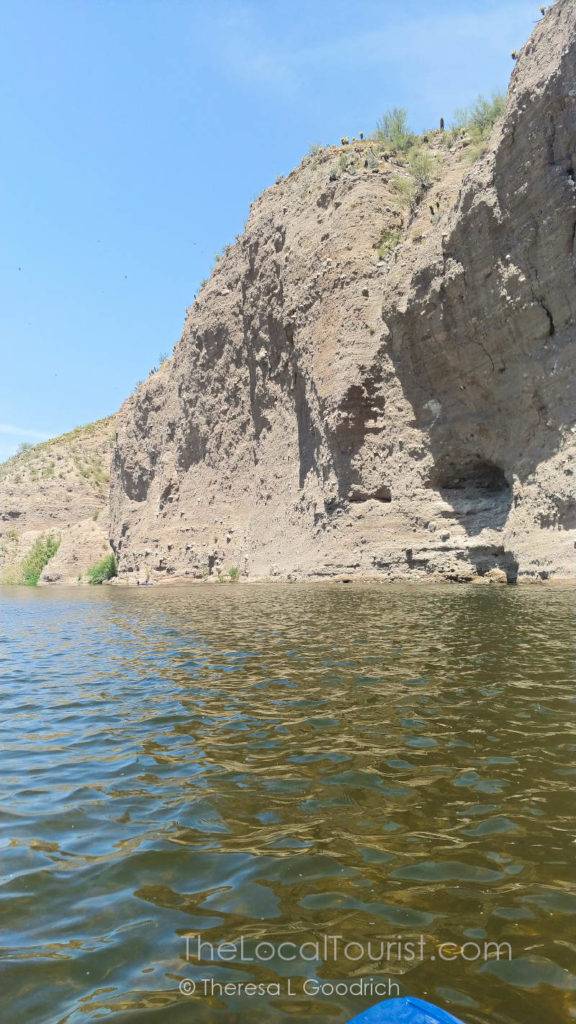 Swallows nests hang from a cliff over the Salt River