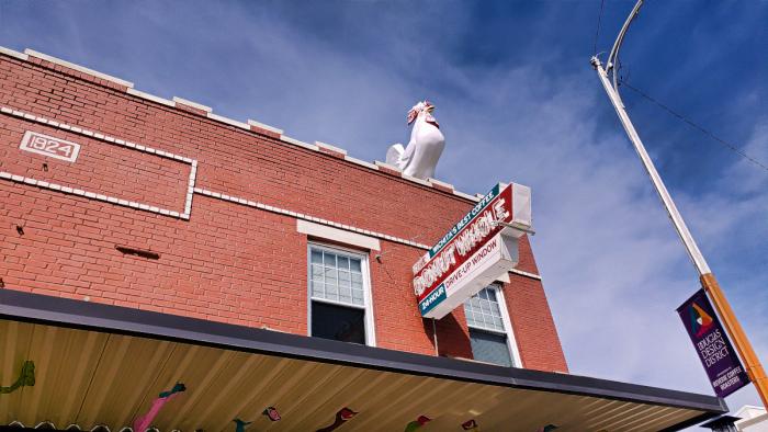 Rooster on Rooftop at Delano Design District