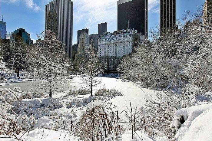 New York, NY Christmas - Talek Nantes