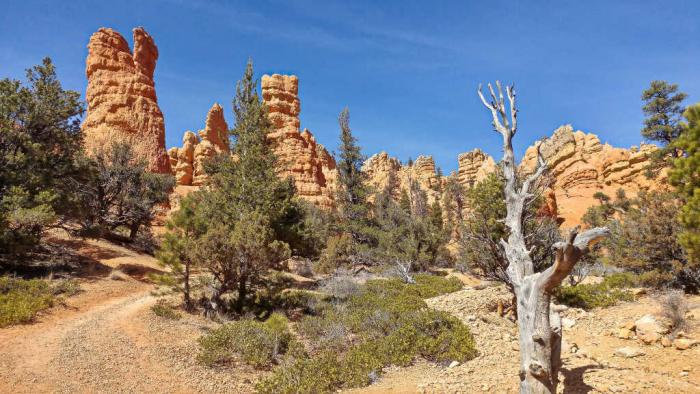 Red Canyon