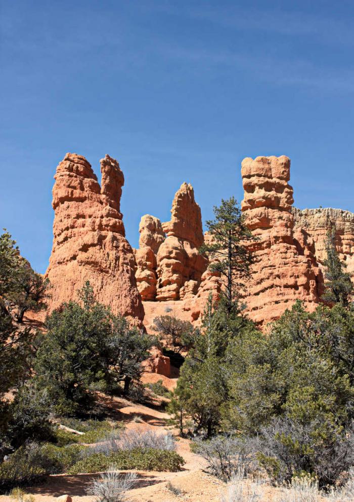 Red Canyon in Utah Canyon Country