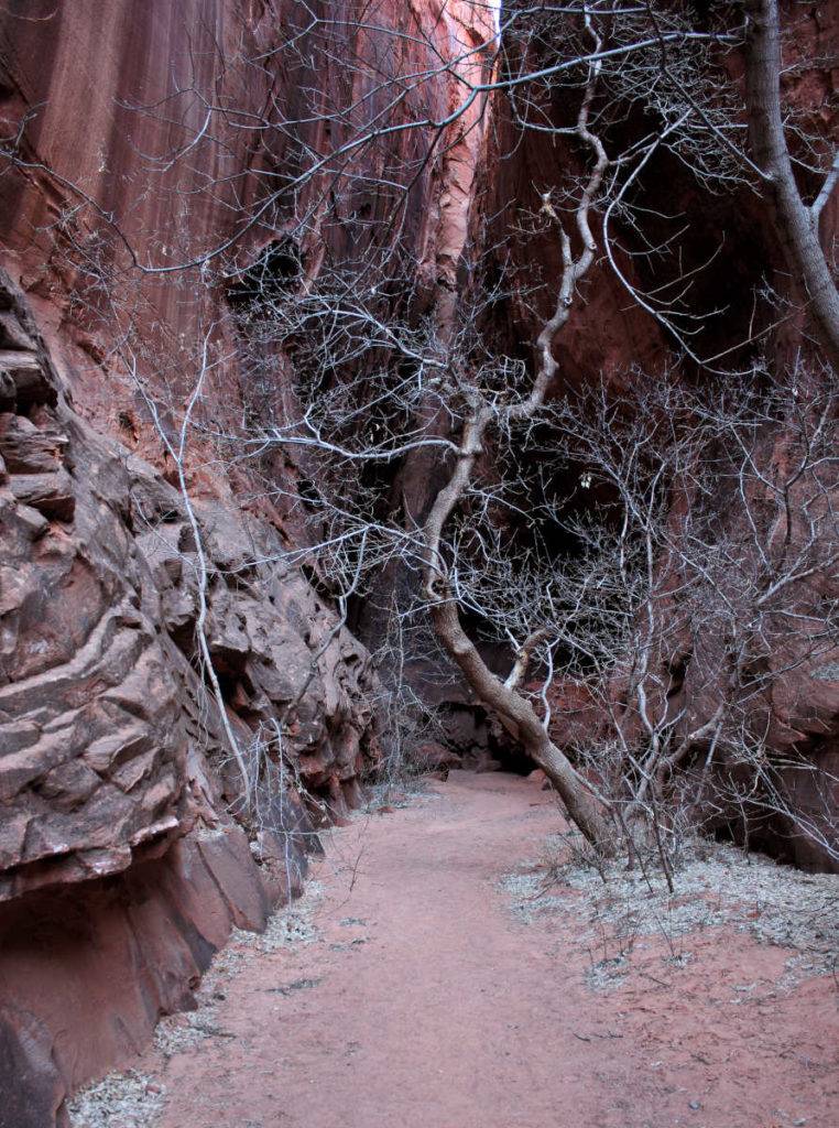Slot Canyon on Burr Trail Road