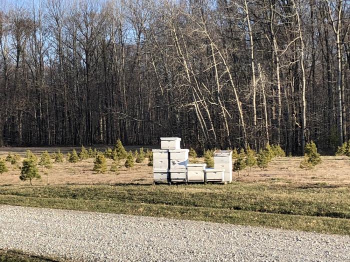 Hunter's Honey Farm - Cindy Ladage, Traveling Adventures of a Farm Girl