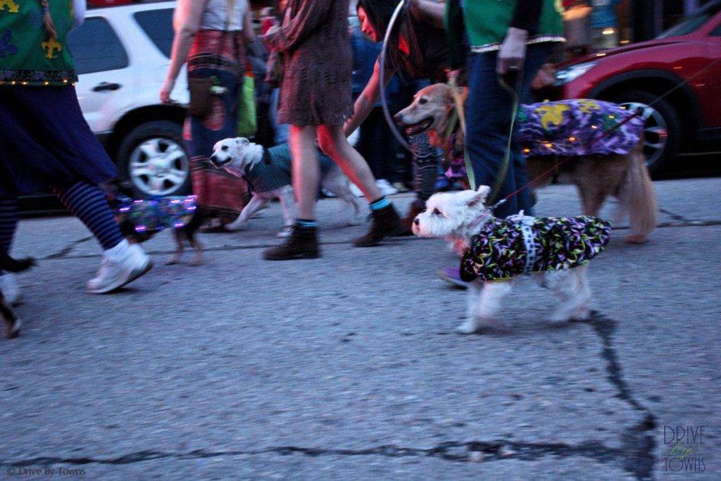 Eureka Springs Mardi Gras Parade