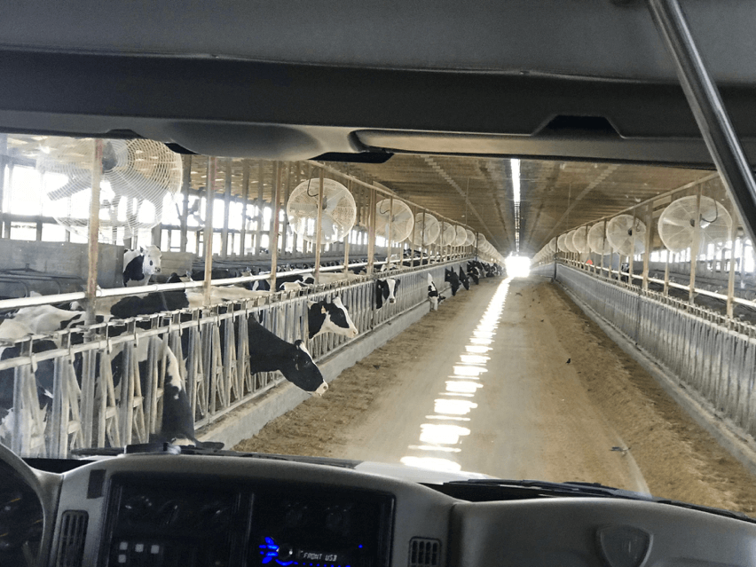 Dairy Barn at Fair Oaks Farm